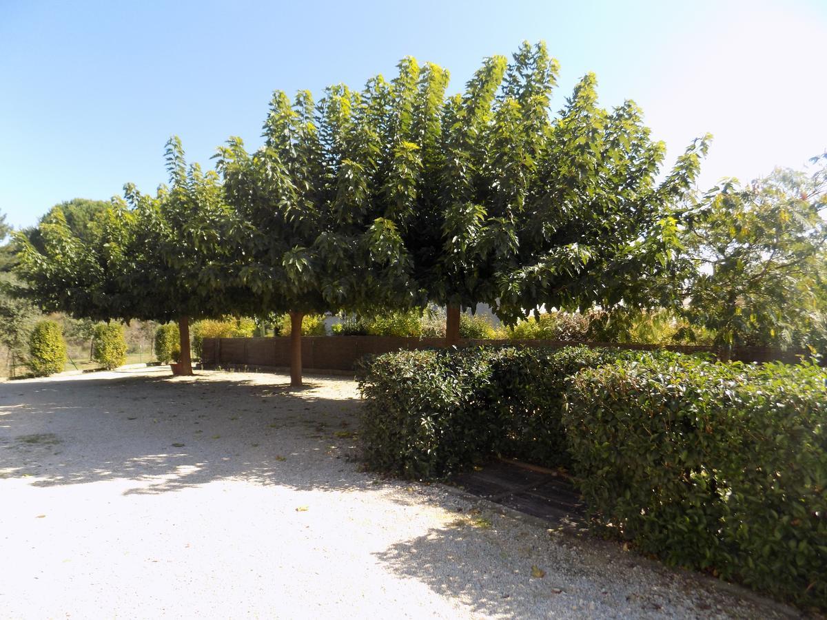 B&B La Vieille Source Saint-Martin-dʼArdèche 외부 사진